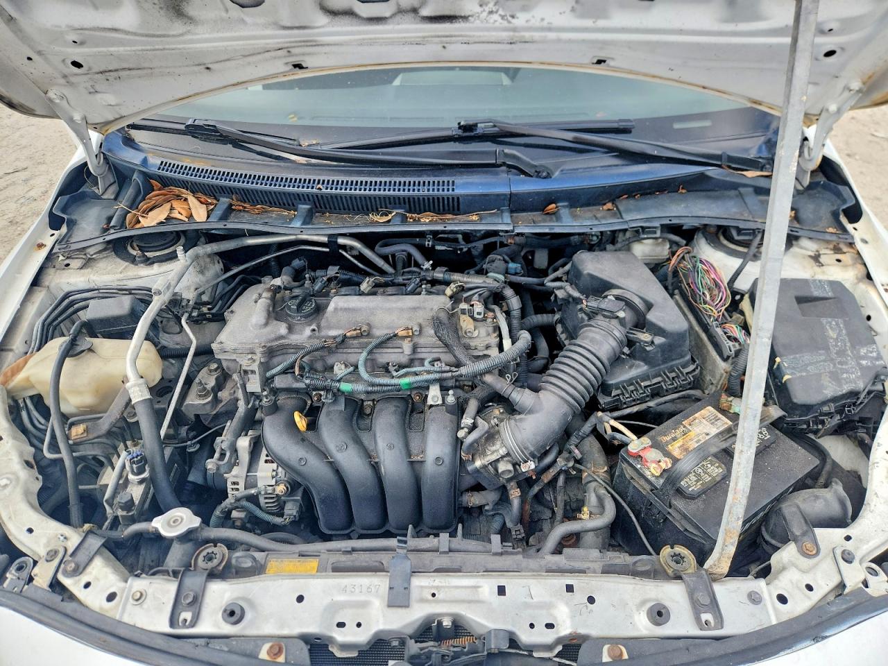 Toyota Corolla S