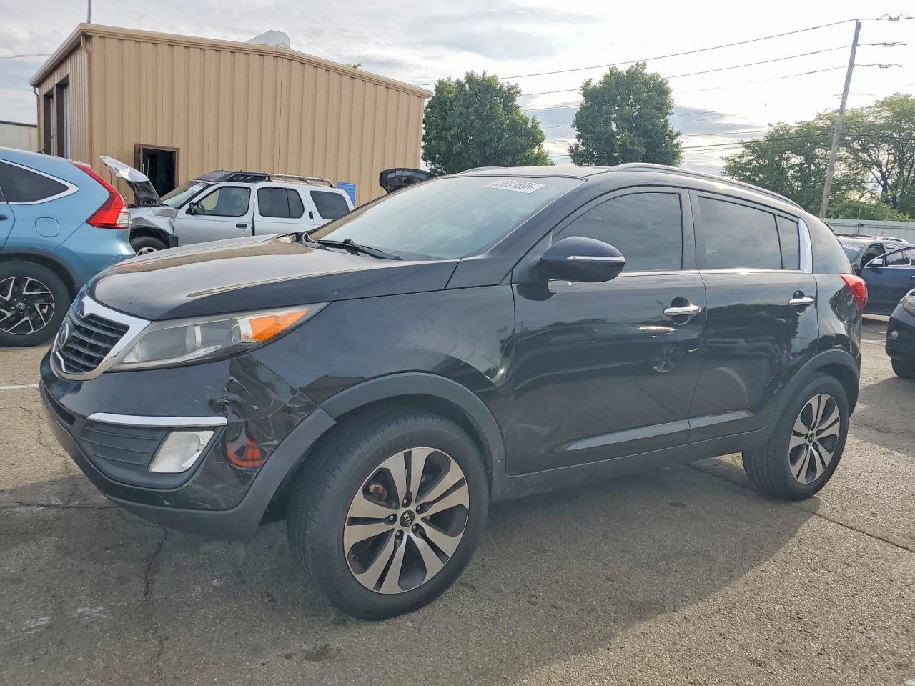 Salvage Kia Sportage Image