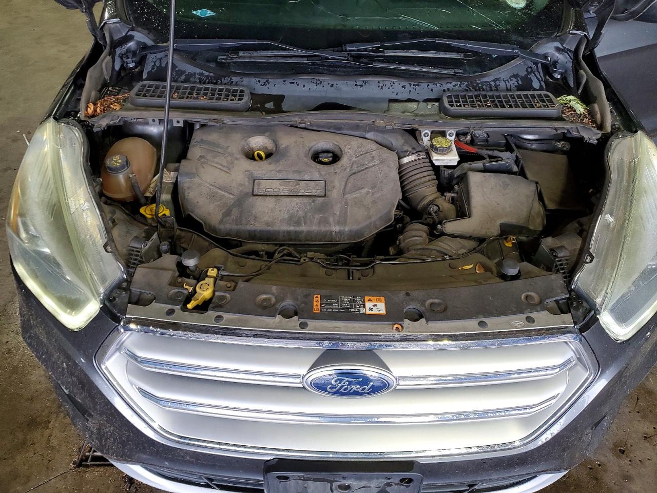 Ford Escape Se