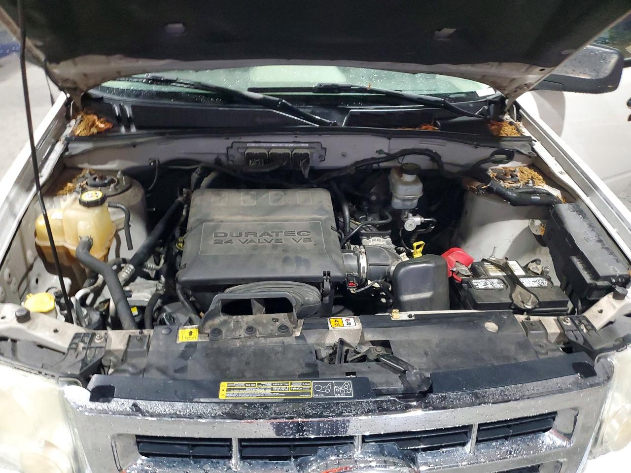 Ford Escape Xlt
