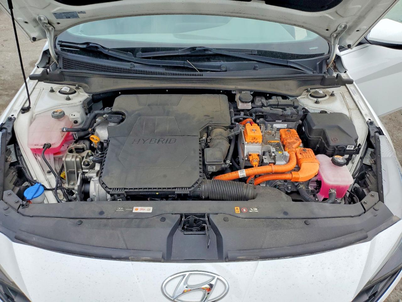 Hyundai ELANTRA Blue