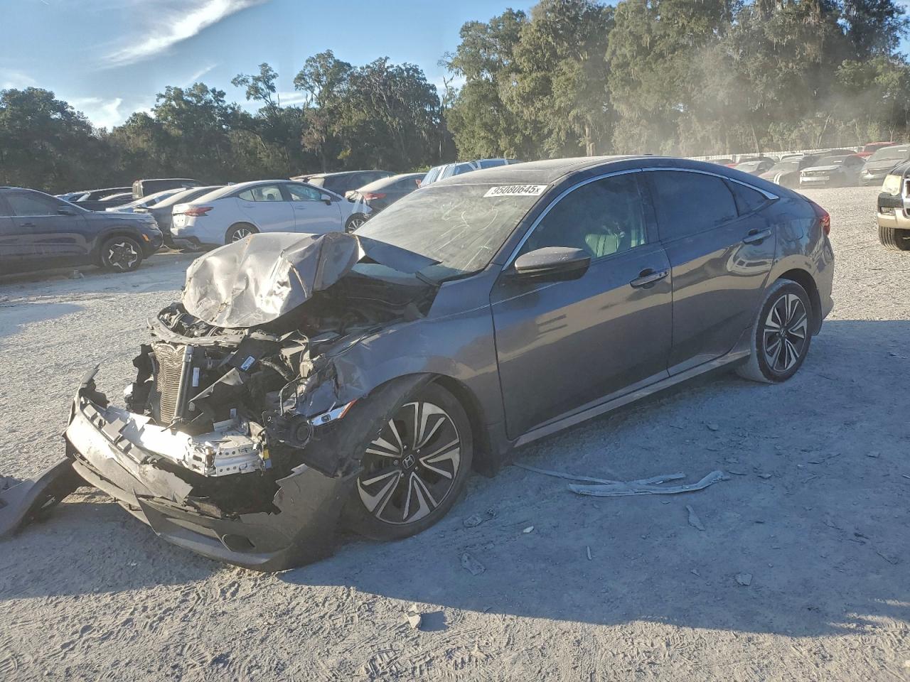 Salvage Honda Civic Image
