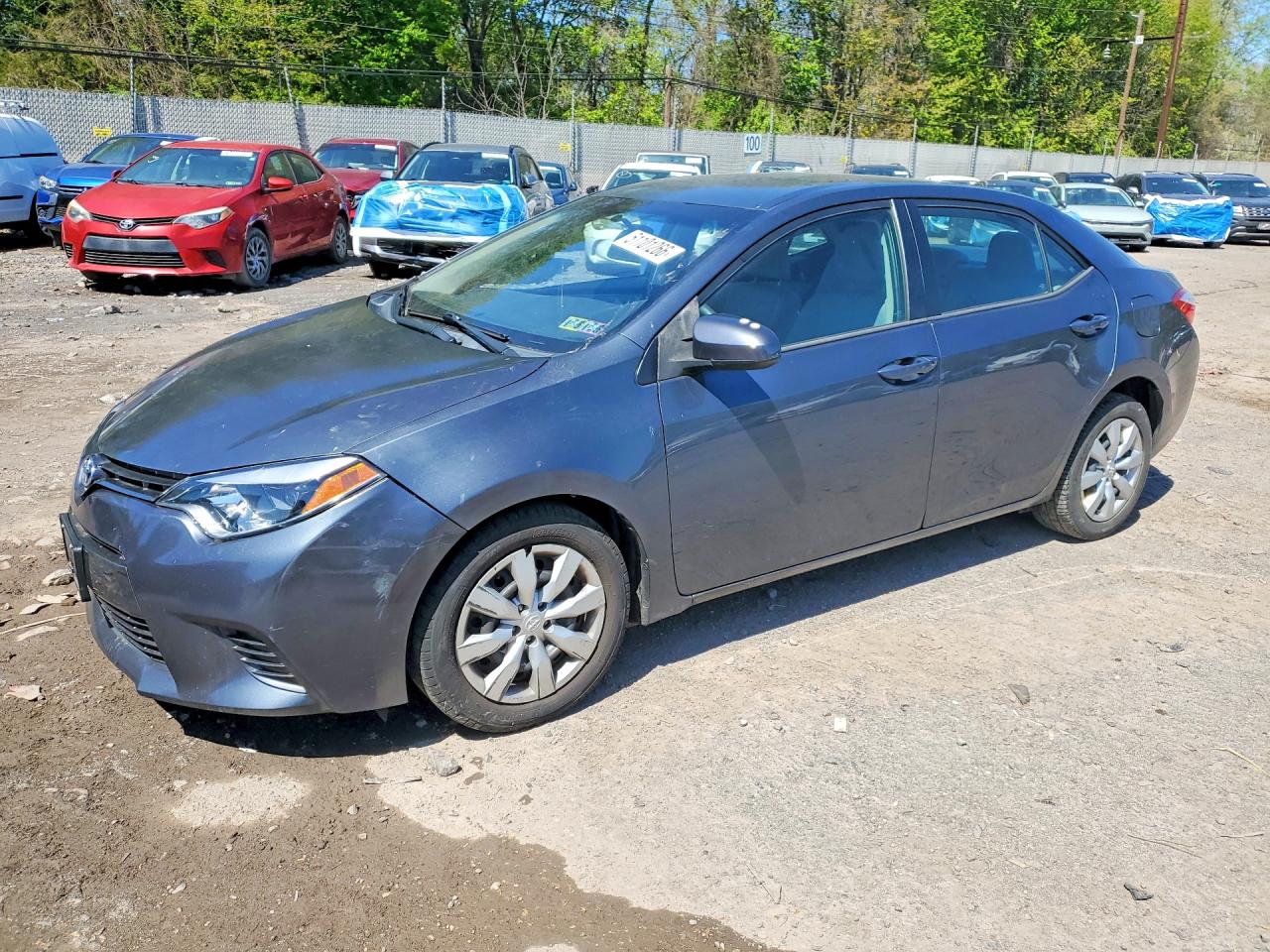 Salvage Toyota Corolla Image