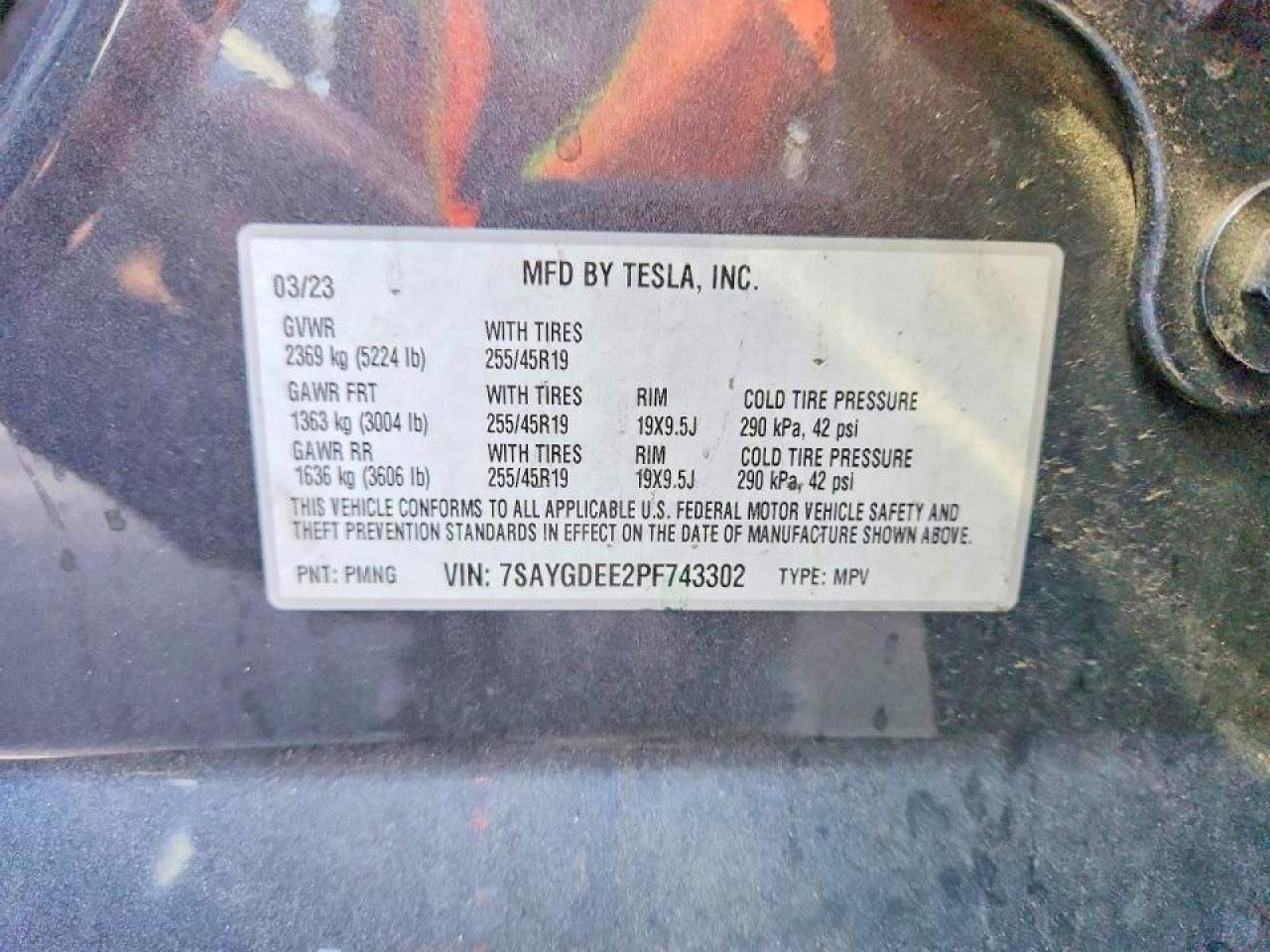 Tesla Model Y