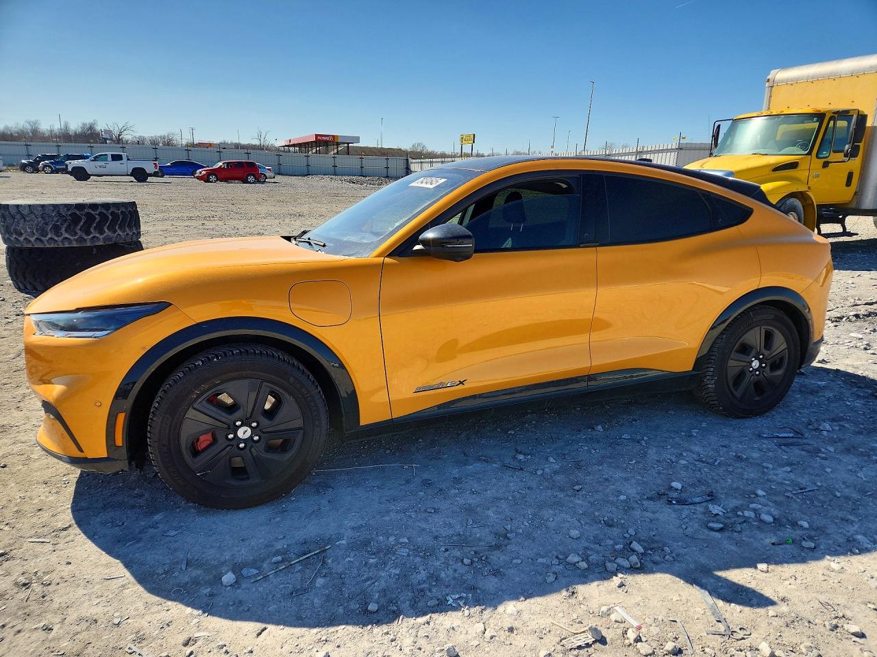 Salvage Ford Mustang Image