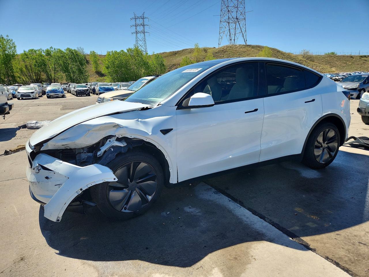 Salvage Tesla Model Y Image