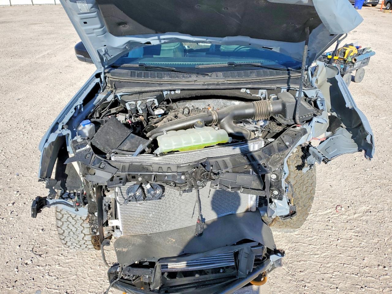 Ford Expedition Tremor