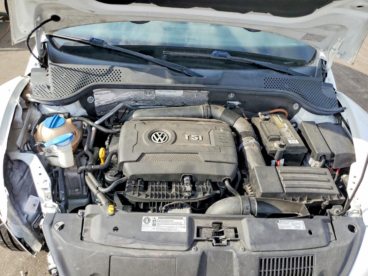 Volkswagen Beetle Dune