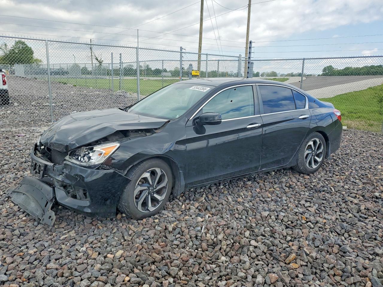 Salvage Honda Accord Image