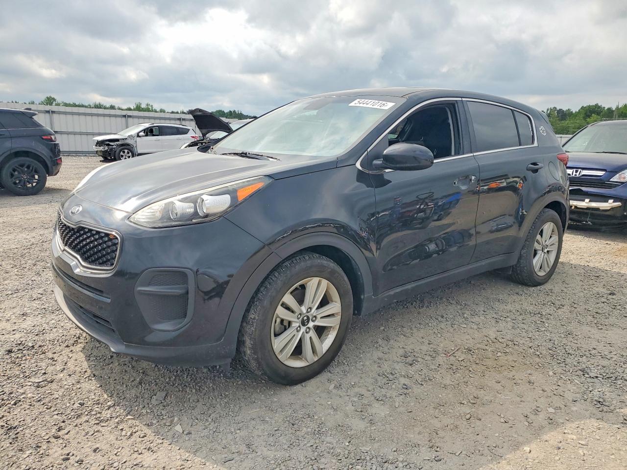 Salvage Kia Sportage Image