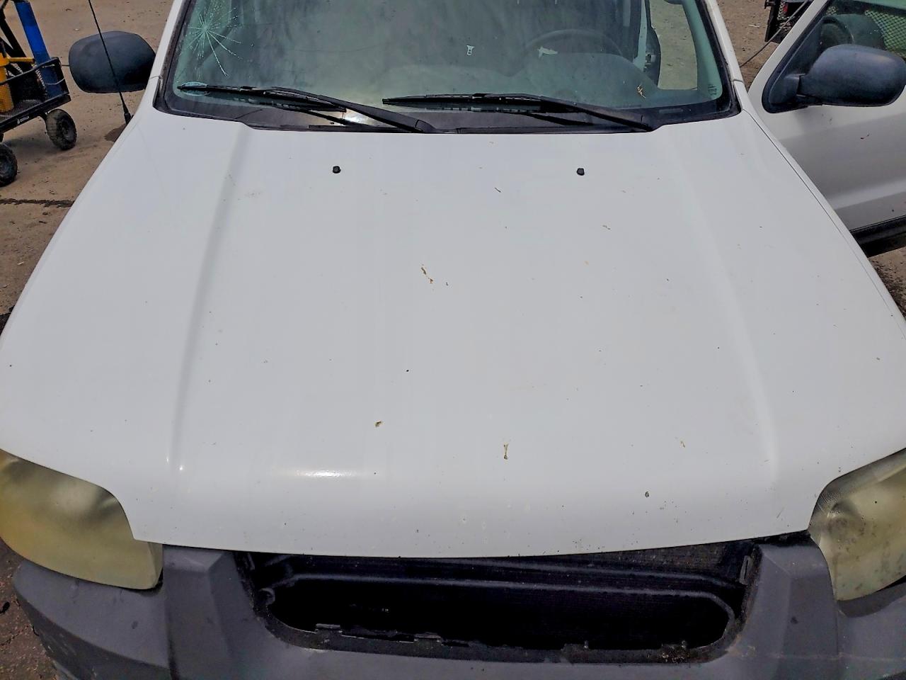 Ford Escape Xls
