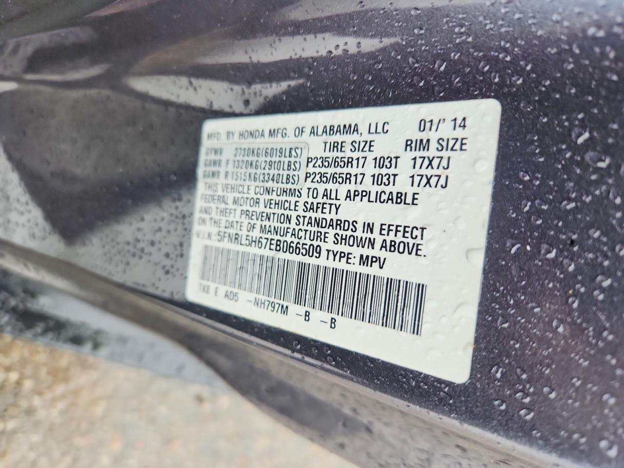 Honda Odyssey Exl