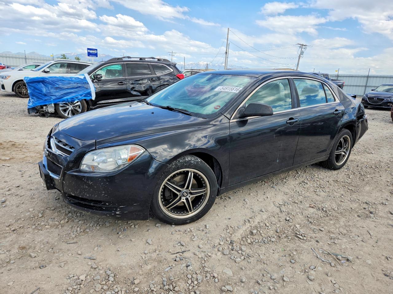 Salvage Chevrolet Malibu Image