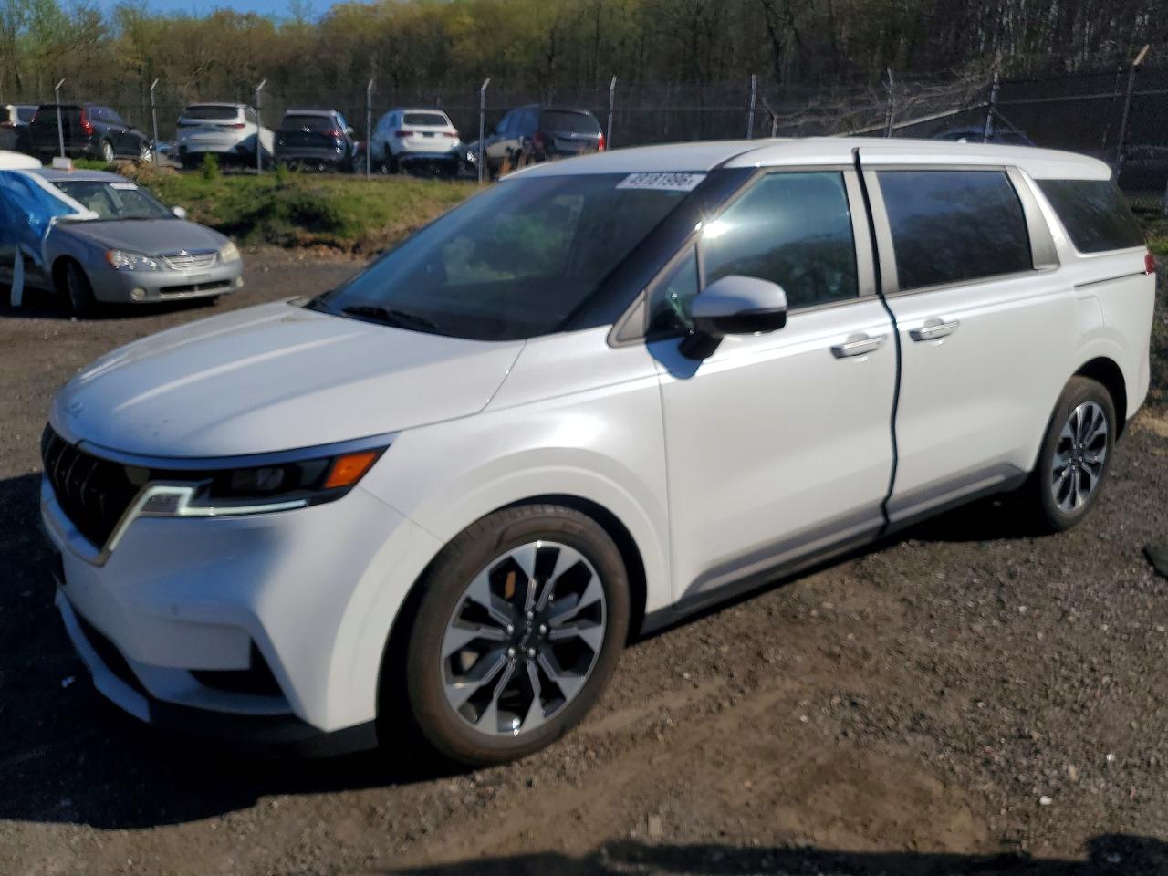 Salvage Kia Carnival Image