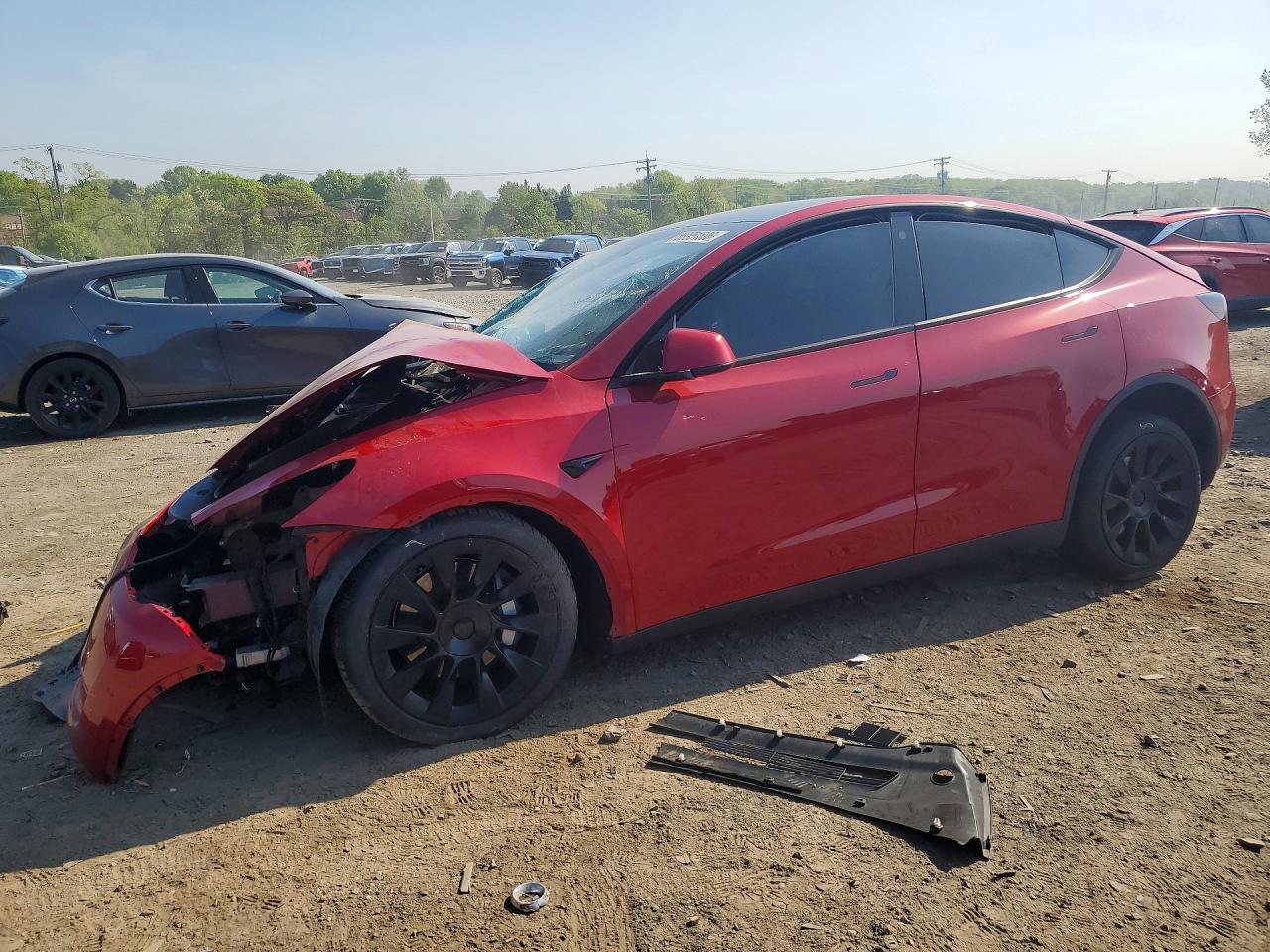 Salvage Tesla Model Y Image