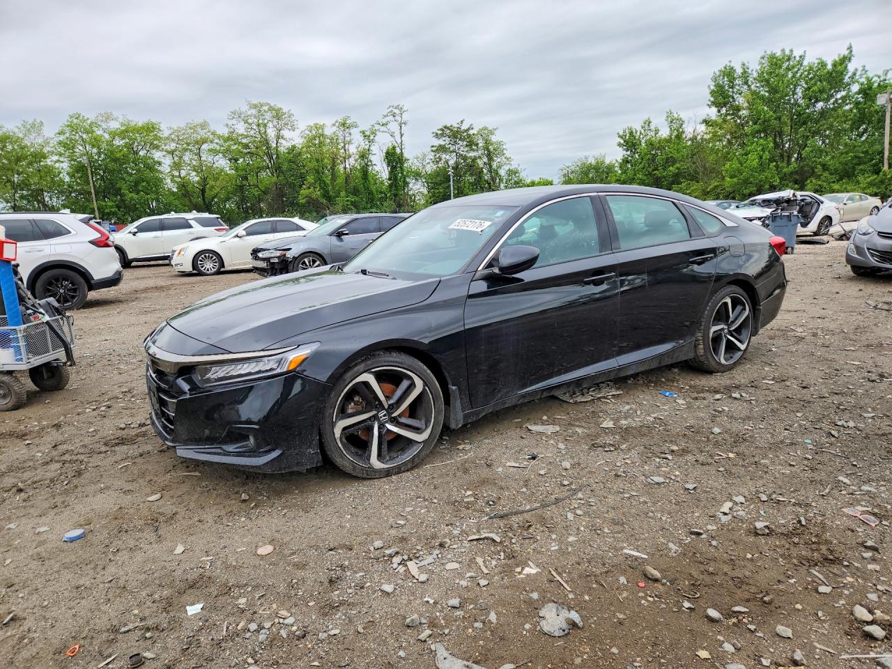 Salvage Honda Accord Image