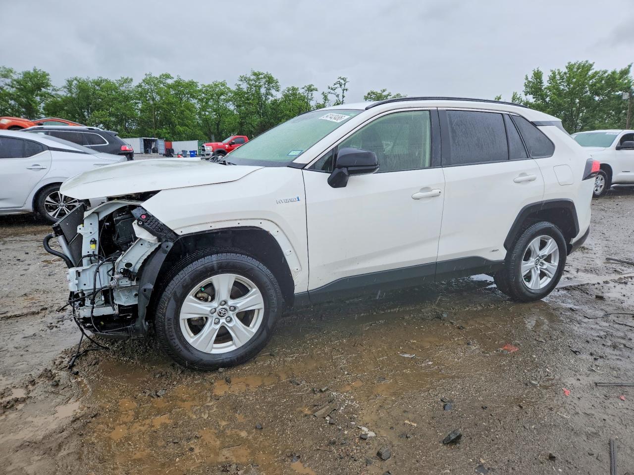 Salvage Toyota RAV4 Image