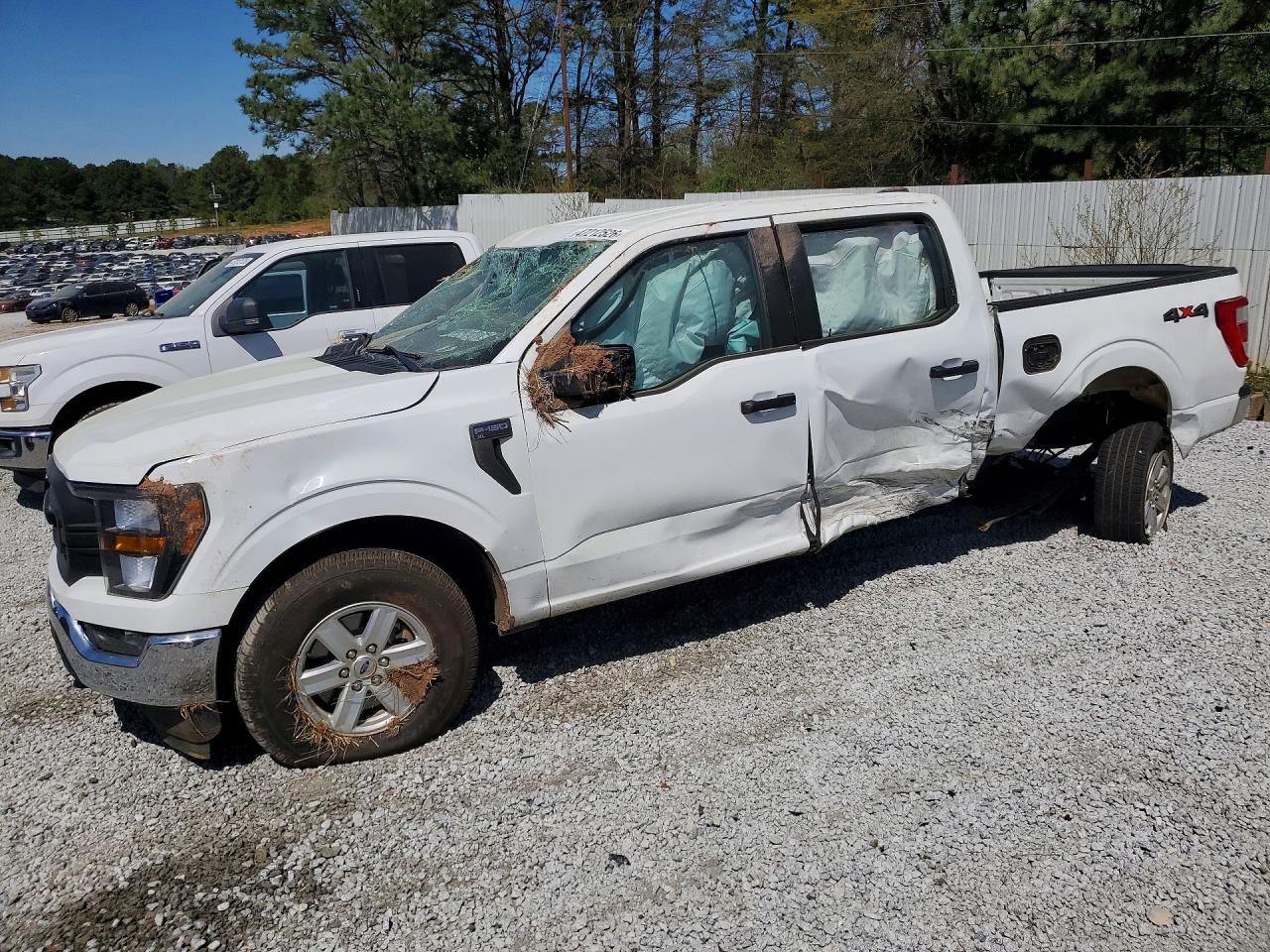 Salvage Ford F-150 Image
