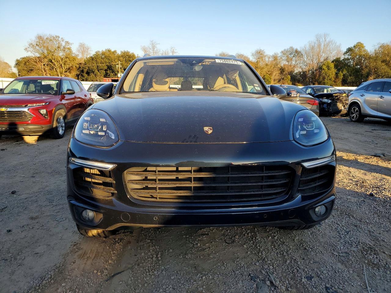 Pors Cayenne
