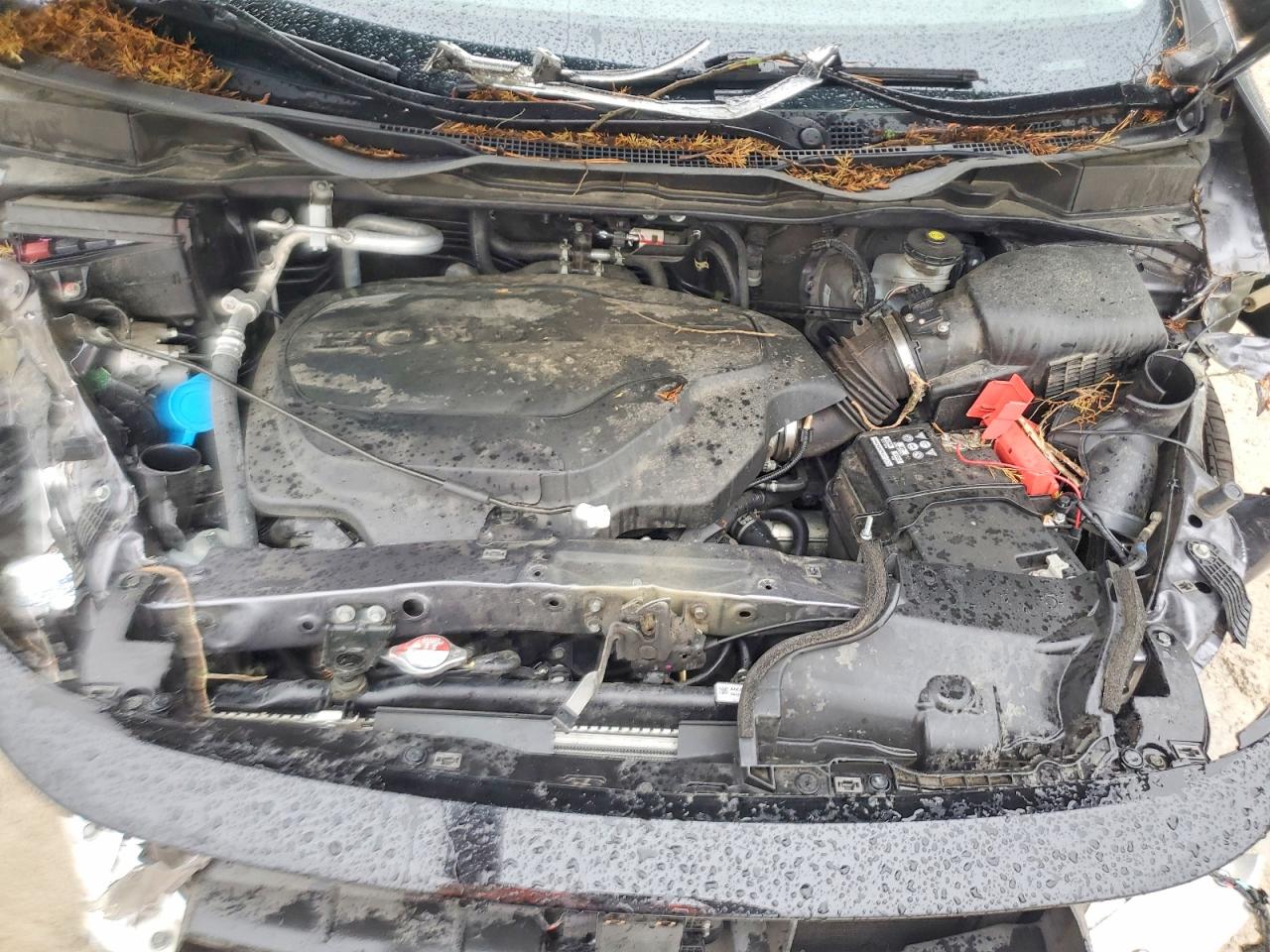 Honda Odyssey Exl