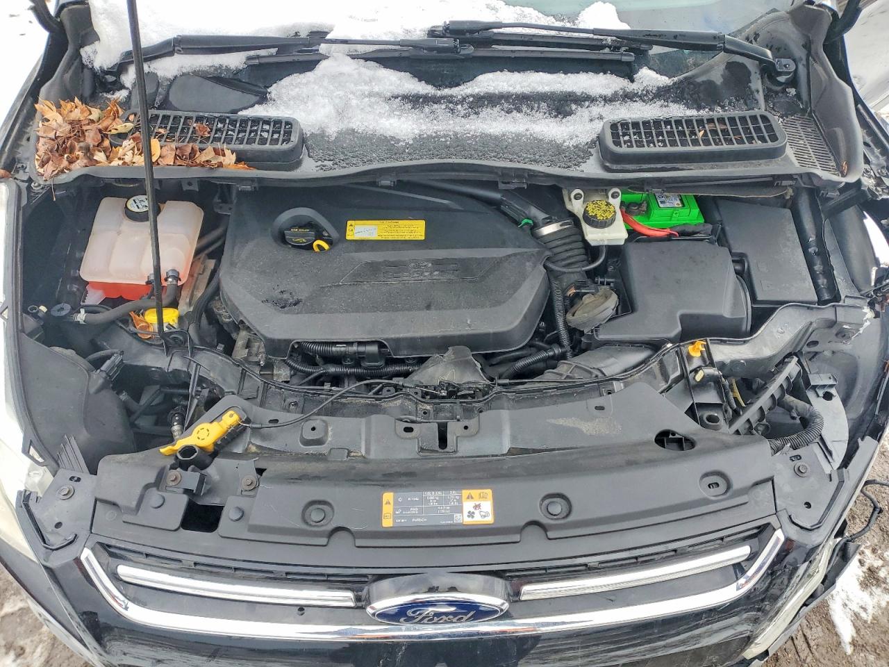 Ford Escape Sel
