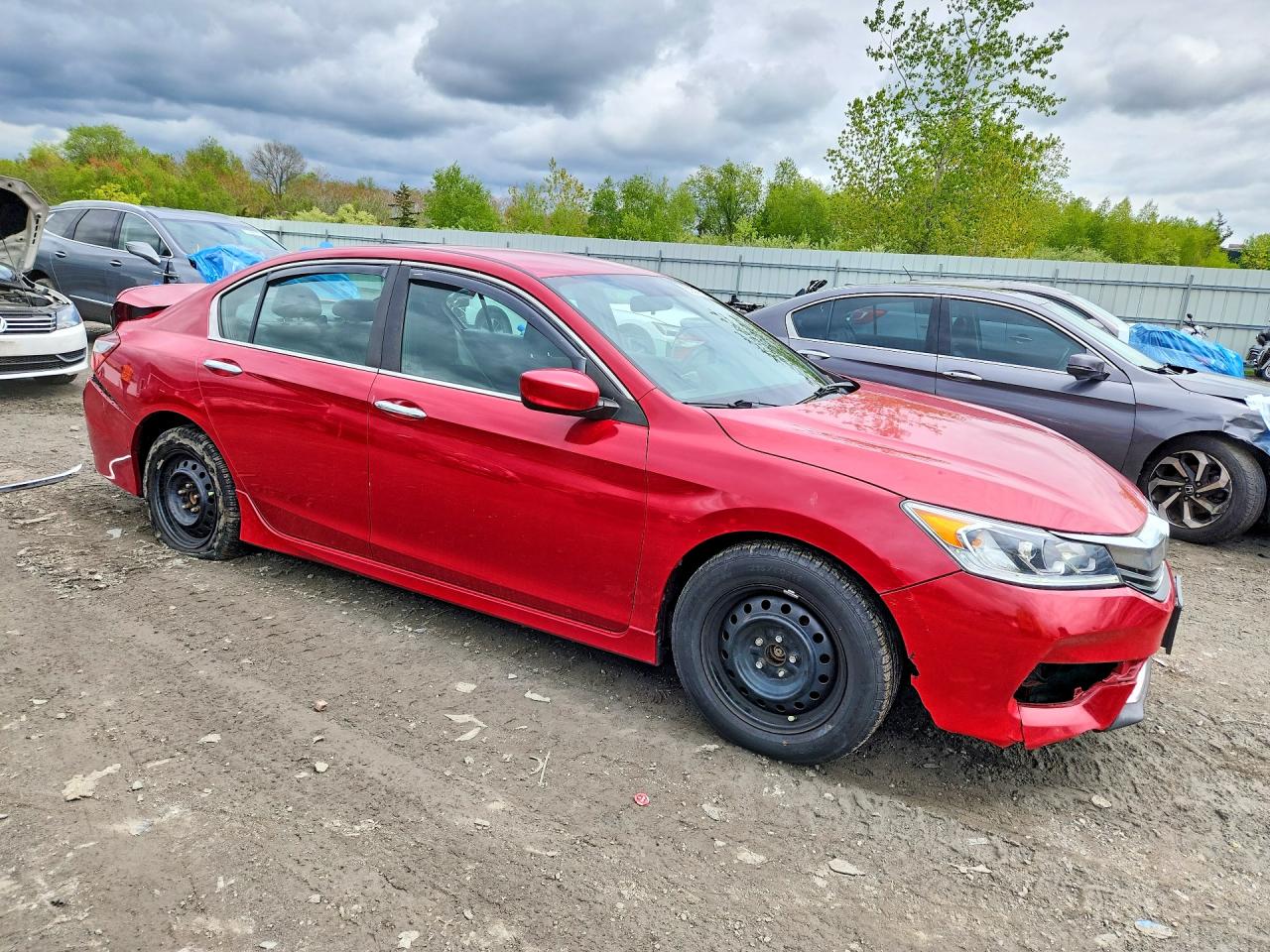 Honda Accord Sport