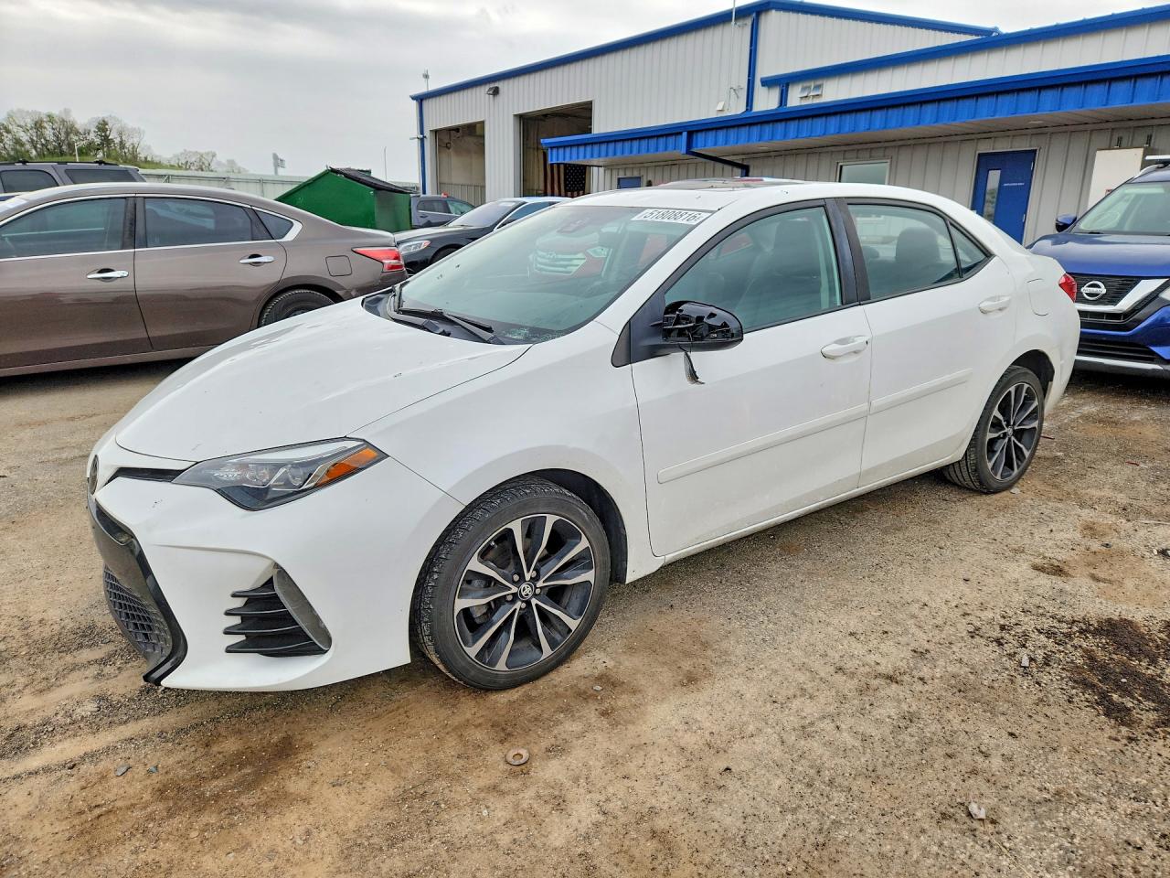 Salvage Toyota Corolla Image