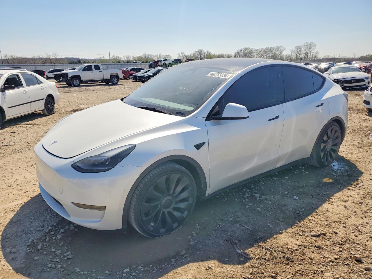 Salvage Tesla Model Y Image
