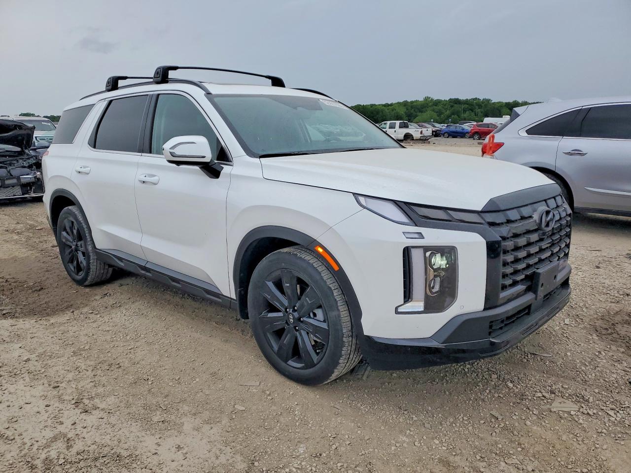 Hyundai PALISADE Xrt