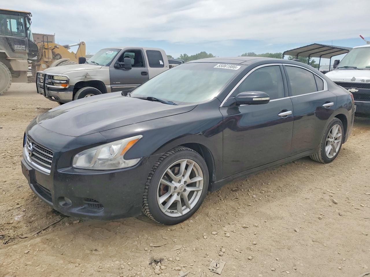 Salvage Nissan Maxima Image