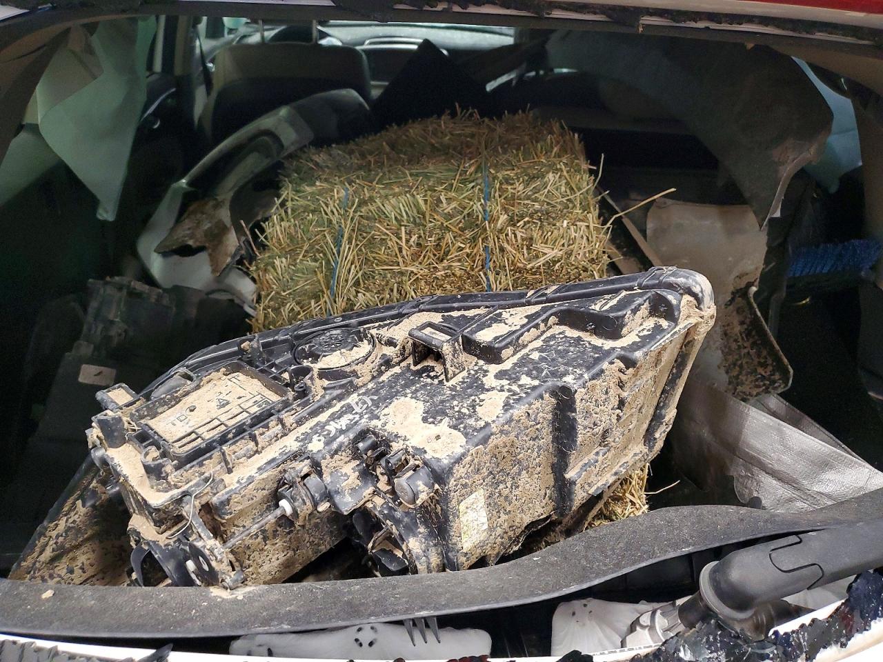 Kia Sorento Ex
