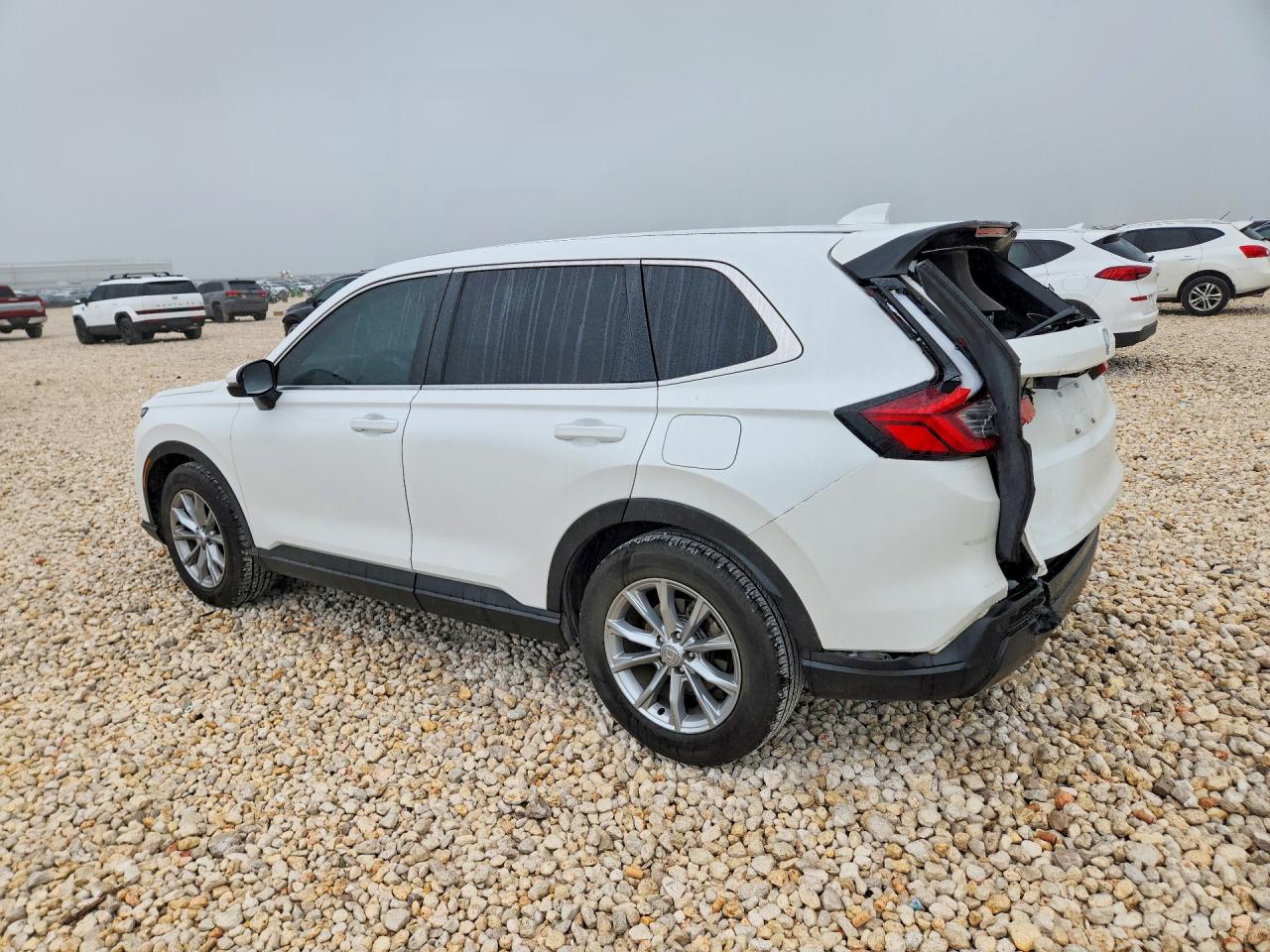 Honda Crv Exl
