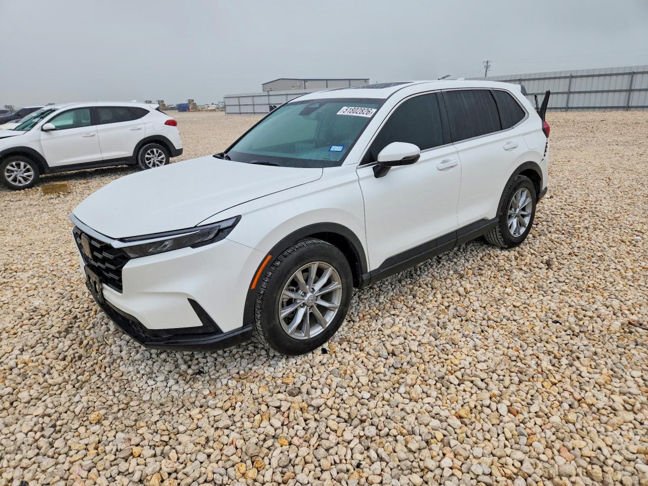 Salvage Honda Crv Image