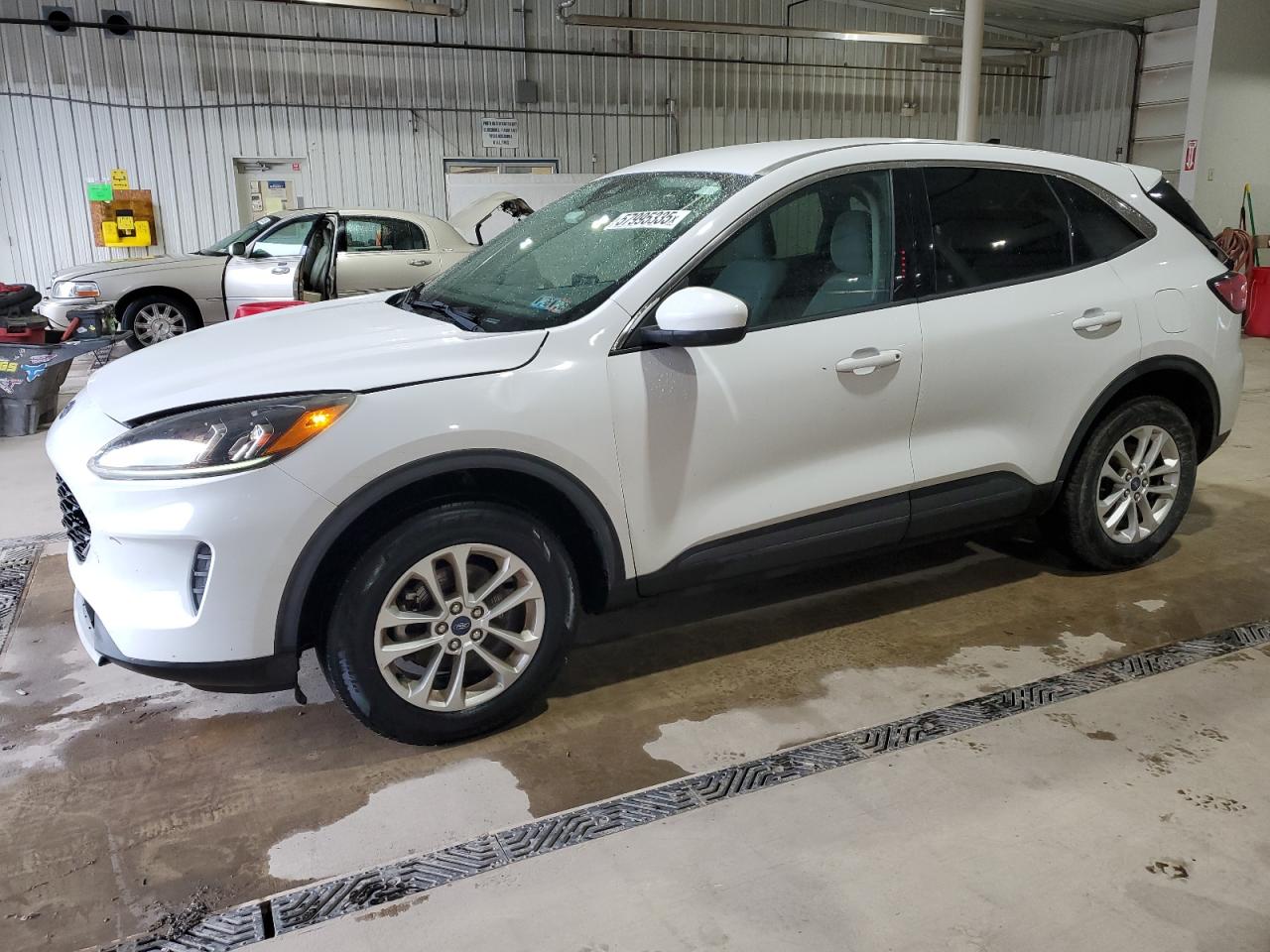 Salvage Ford Escape Image