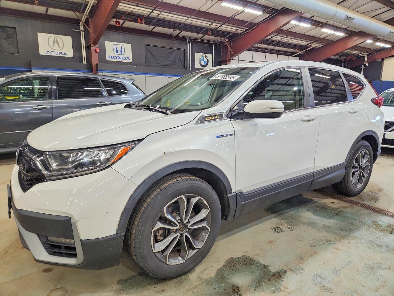 Salvage Honda Crv Image