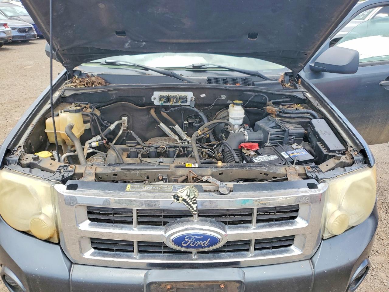 Ford Escape Xls
