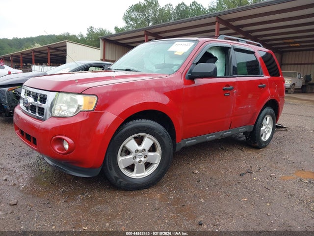 Ford Escape Xlt