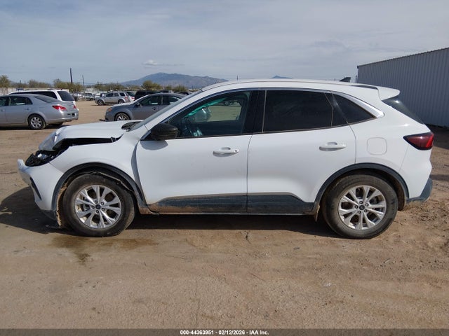 Ford Escape Active