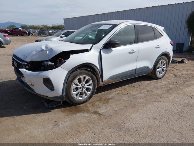 Ford Escape Active