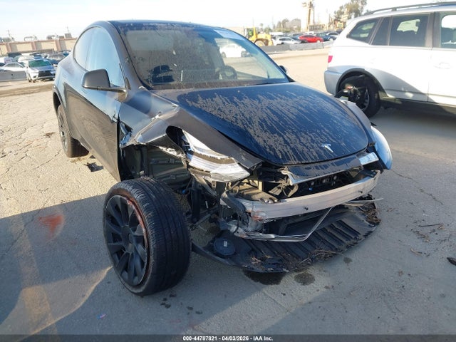 Salvage Tesla Model Y Image