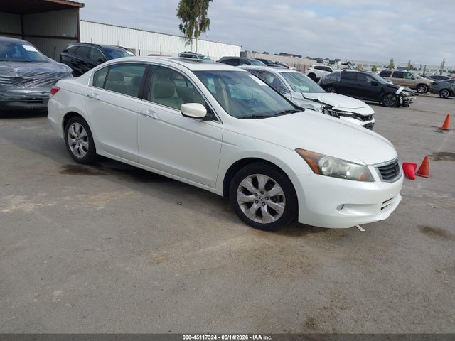 Salvage Honda Accord Image