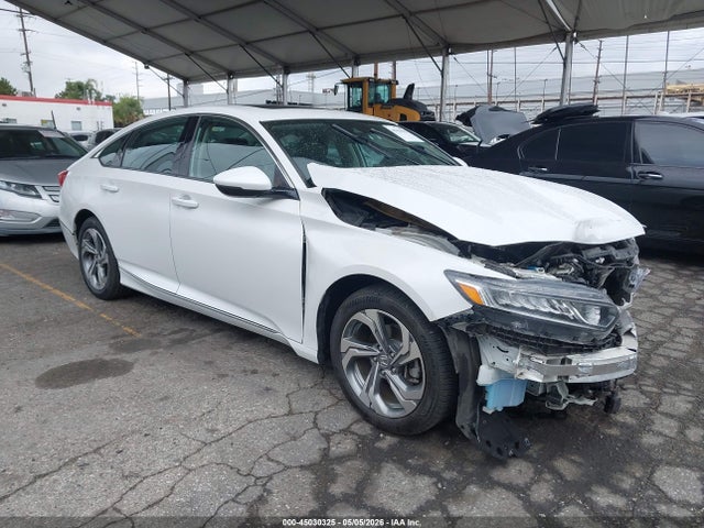 Salvage Honda Accord Image