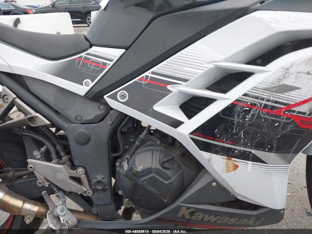 Kawasaki Ex300 B