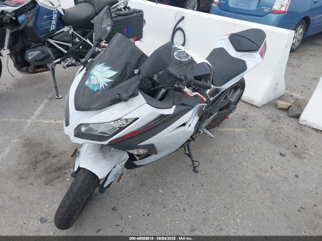 Kawasaki Ex300 B