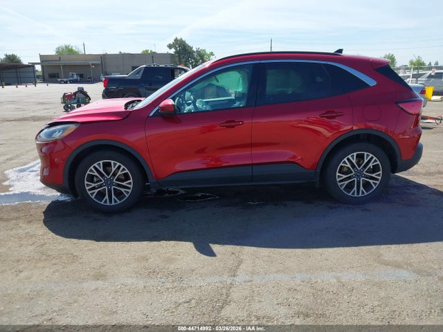 Ford Escape Sel