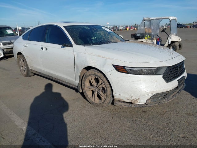 Salvage Honda Accord Image
