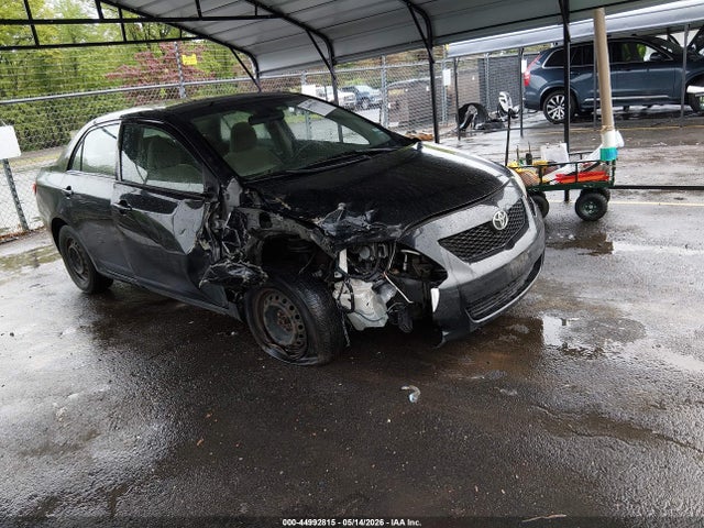 Salvage Toyota Corolla Image