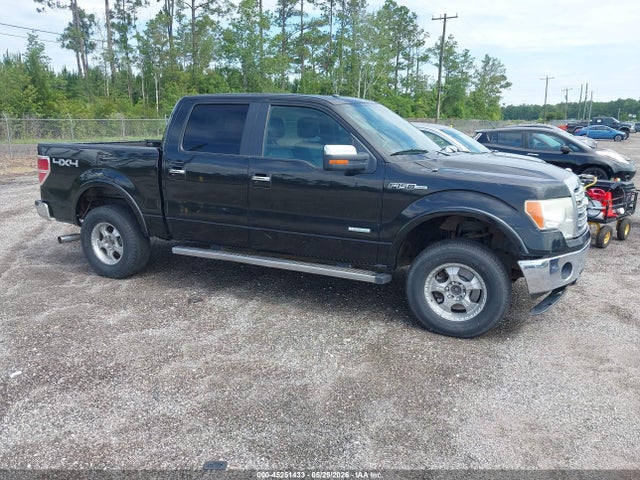 Salvage Ford F-150 Image
