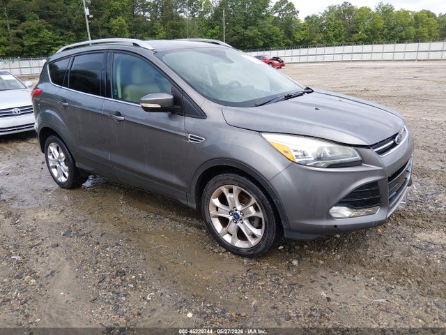 Salvage Ford Escape Image