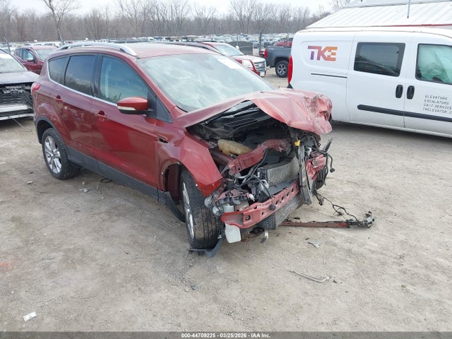 Salvage Ford Escape Image